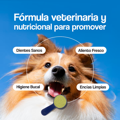 PetBright Advanced- Polvo Dental Limpiador