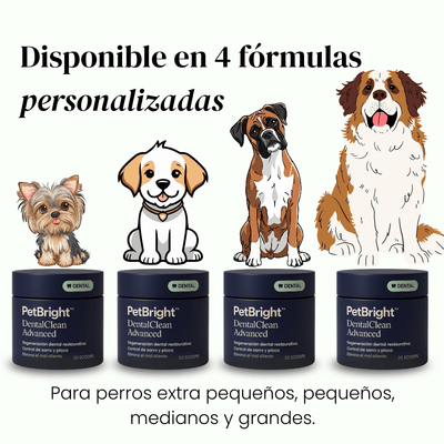 PetBright Advanced- Polvo Dental Limpiador